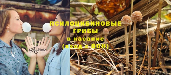 прущие крисы Сясьстрой